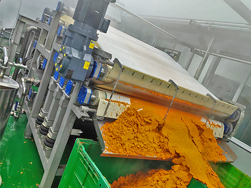 带式果蔬压榨机-山东胡萝卜压榨现场